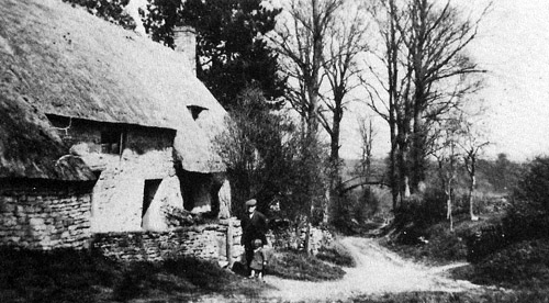 View down Green Lane, Fifield, 1900s