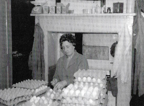 Daphne Edginton sorting eggs in the kitchen at Crow's Castle Farm.