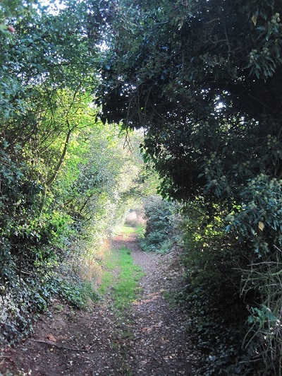 Green Lane near Ipsden