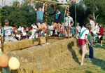 2 Its a Knockout Shipton 1981.jpg